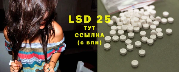 ПСИЛОЦИБИНОВЫЕ ГРИБЫ Михайловка