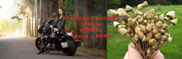 ПСИЛОЦИБИНОВЫЕ ГРИБЫ Михайловка