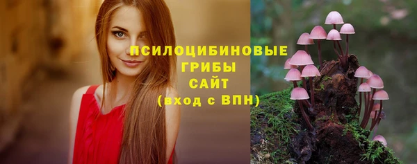ПСИЛОЦИБИНОВЫЕ ГРИБЫ Михайловка