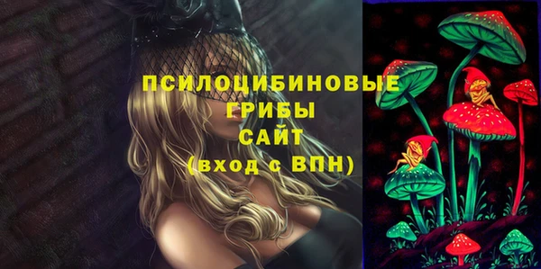 ПСИЛОЦИБИНОВЫЕ ГРИБЫ Михайловка