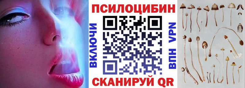 закладки  Невельск  Галлюциногенные грибы мицелий 