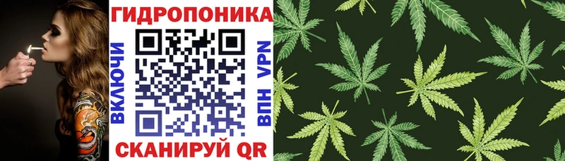 Конопля марихуана  как найти   Невельск 